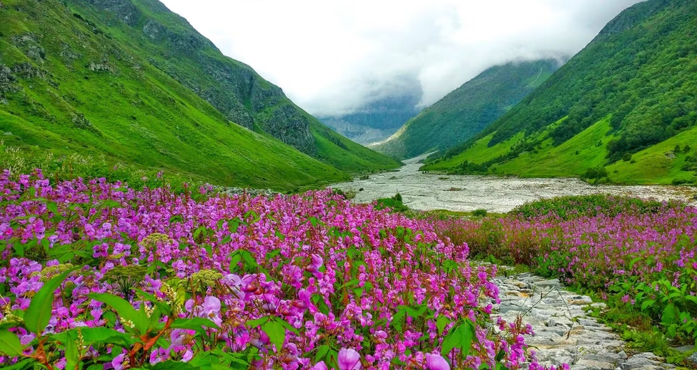 Uttarakhand tour package